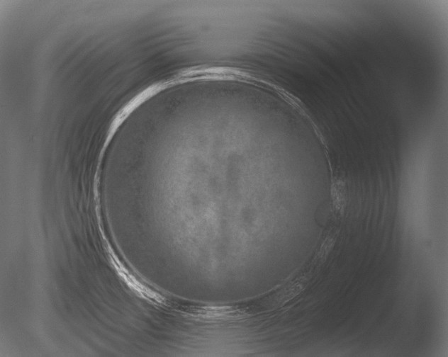 X0000086101482200703231421