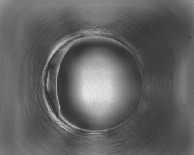 X0000086101483200703231421