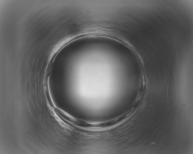 X0000086101485200703231421