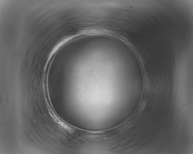 X0000086101486200703231421