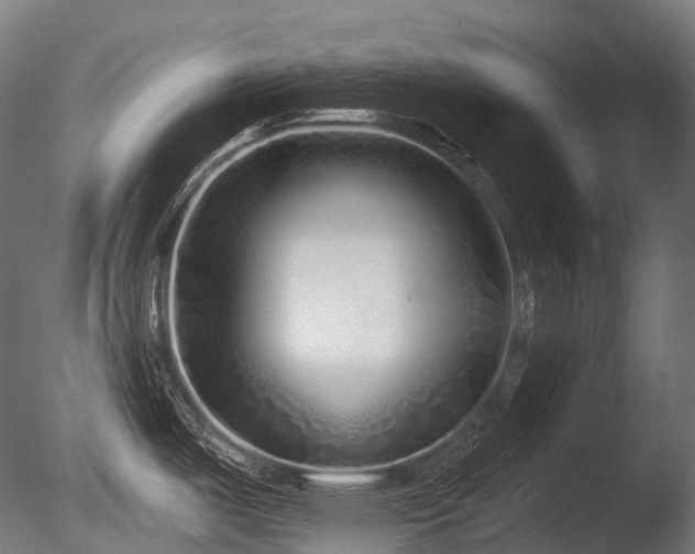 X0000086101487200703231421