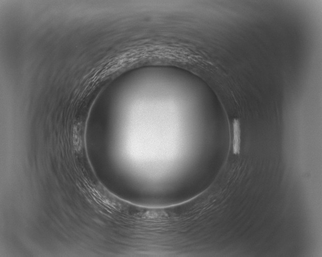 X0000086101491200703231420