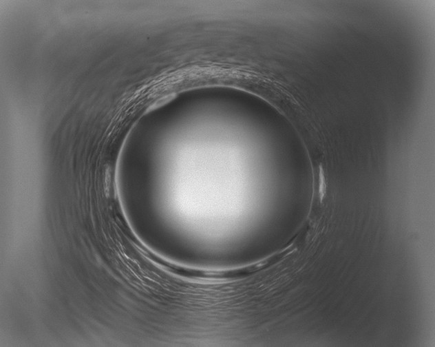 X0000086101492200703231420