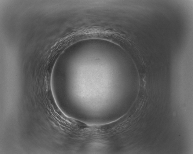 X0000086101493200703231421