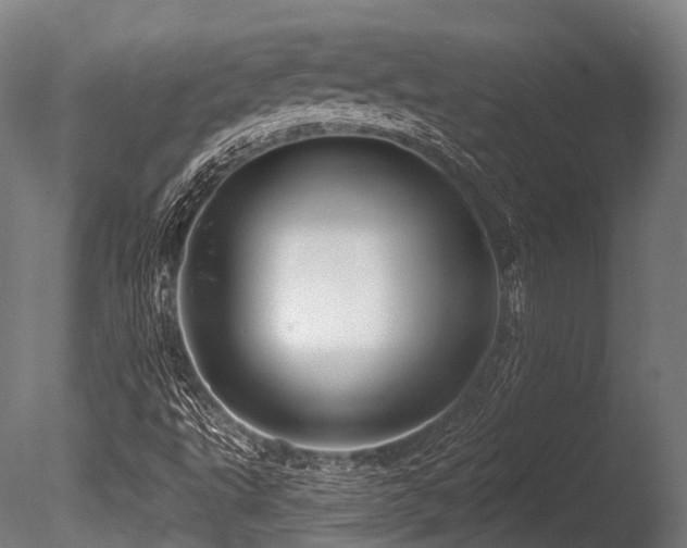 X0000086101495200703231421