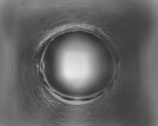 X0000086101496200703231421