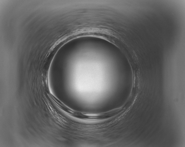 X0000086101497200703231421