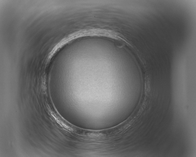 X0000086101498200703231421
