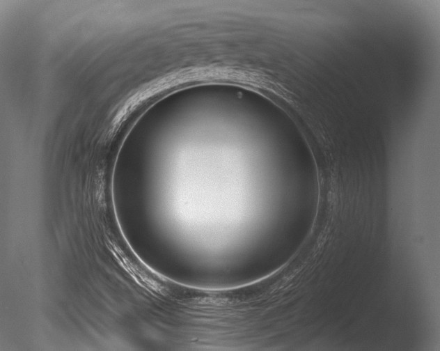 X0000086101499200703231421