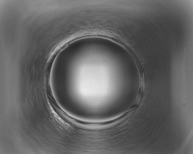 X0000086101500200703231421