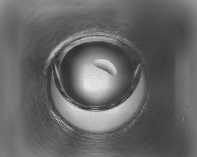X0000086101502200703231421