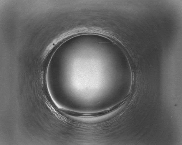 X0000086101503200703231421