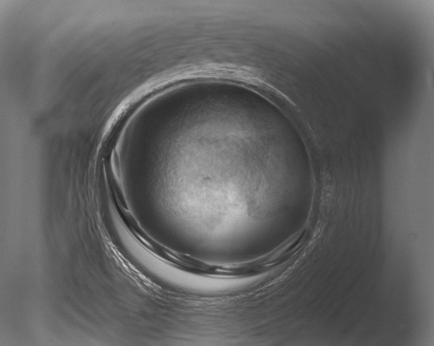 X0000086101506200703231421