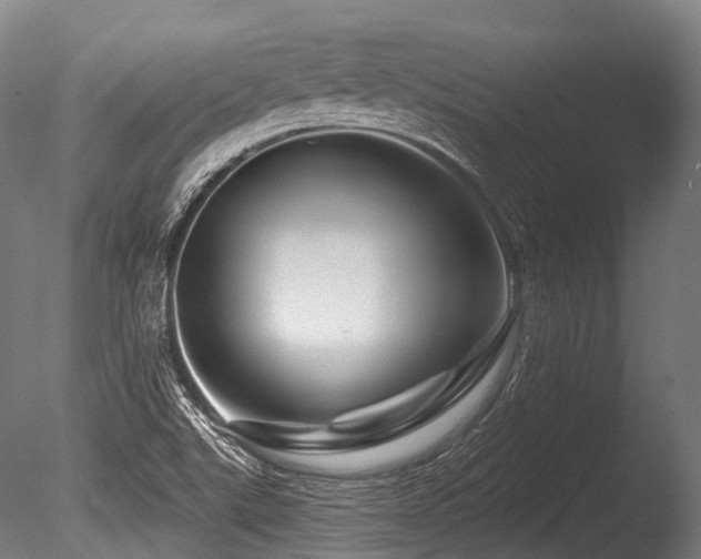 X0000086101507200703231421