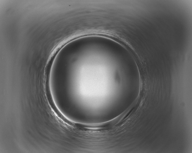 X0000086101508200703231421