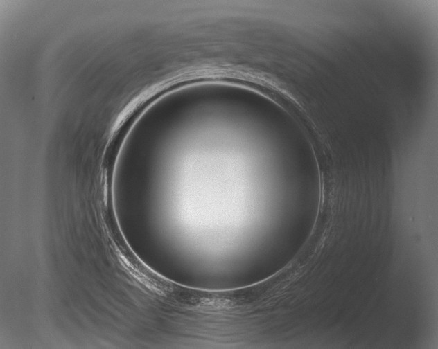 X0000086101509200703231421