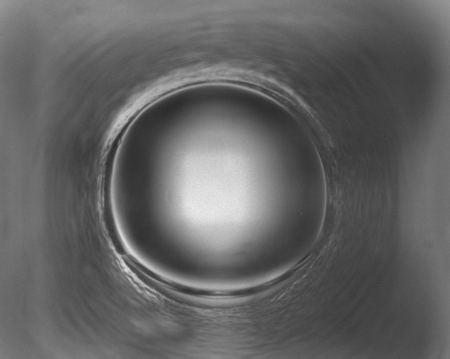 X0000086101512200703231421