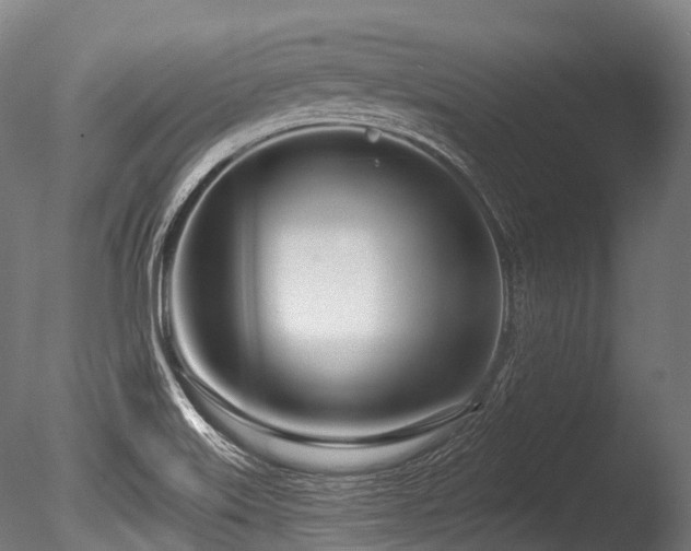 X0000086101515200703231421