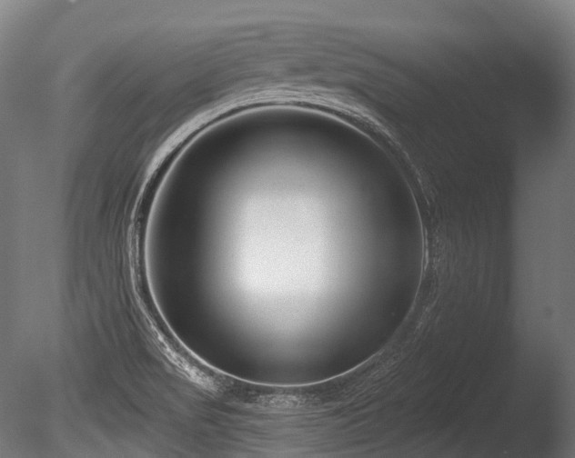 X0000086101517200703231421
