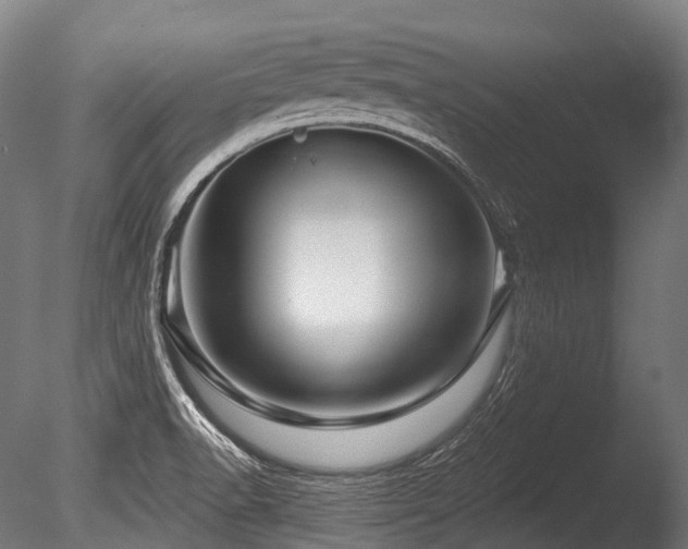 X0000086101518200703231421