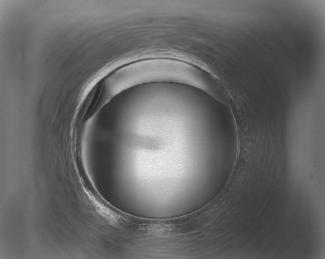 X0000086101519200703231421