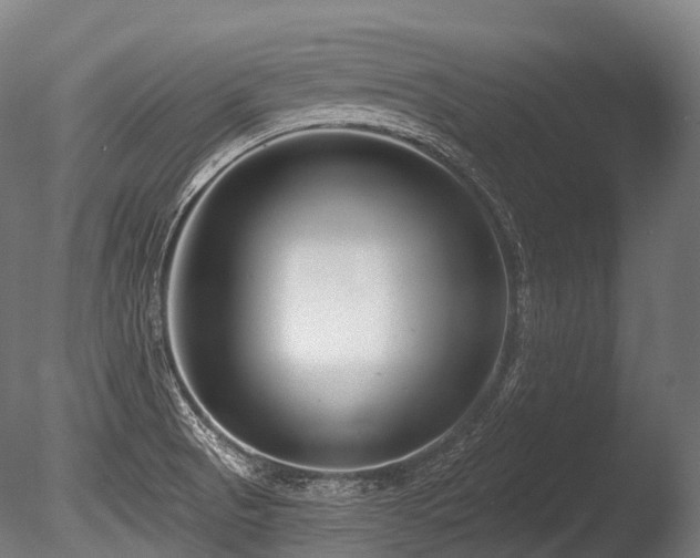 X0000086101521200703231421
