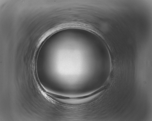 X0000086101523200703231421