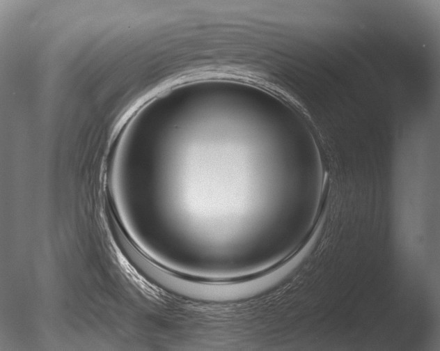 X0000086101524200703231421