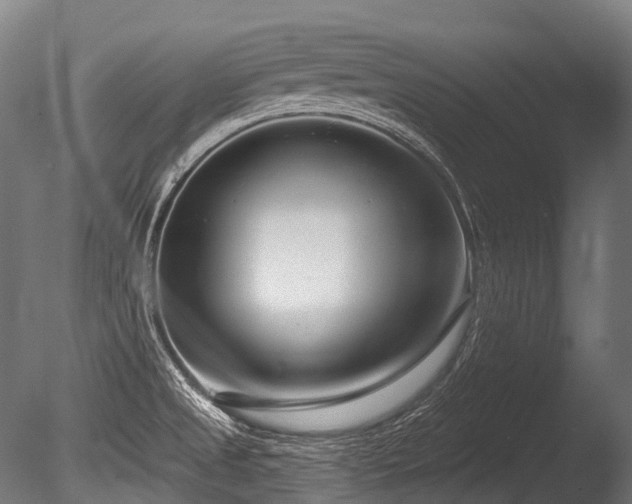 X0000086101525200703231421