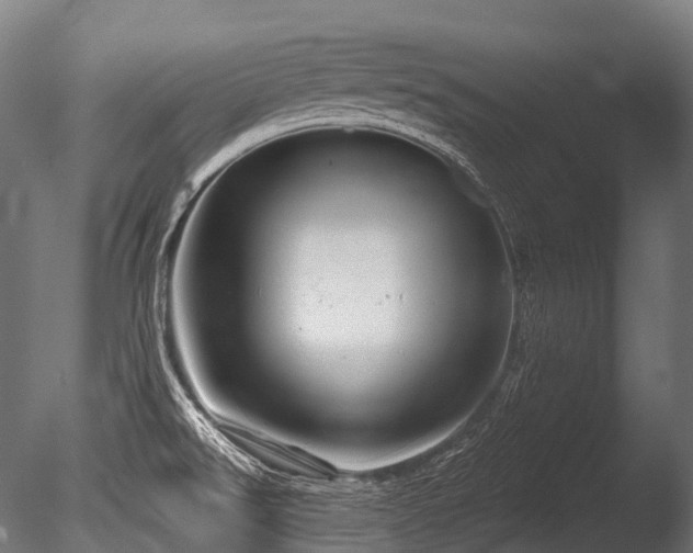 X0000086101526200703231421