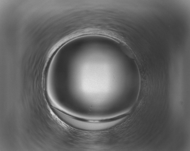 X0000086101527200703231421