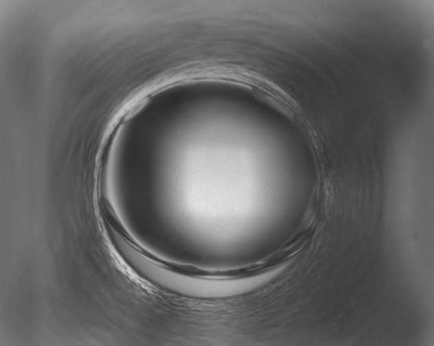 X0000086101528200703231421