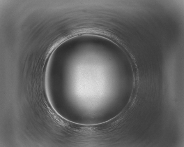 X0000086101529200703231421