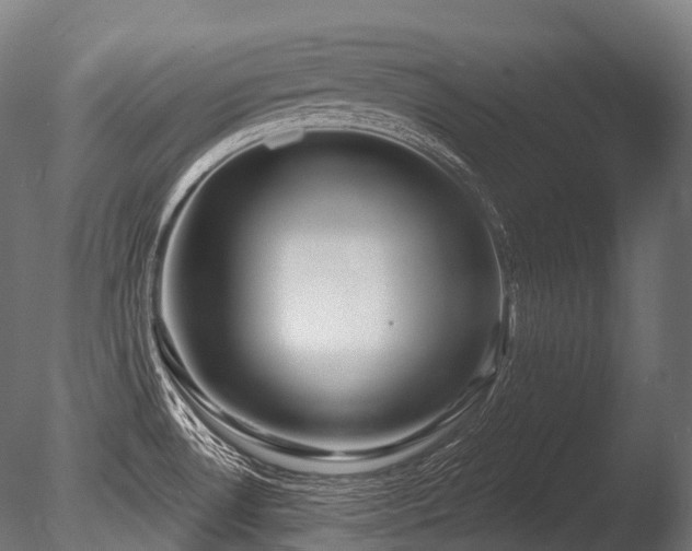 X0000086101530200703231421
