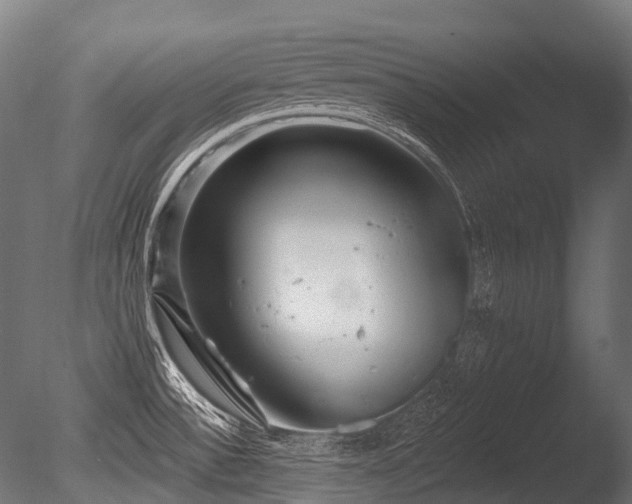 X0000086101532200703231421