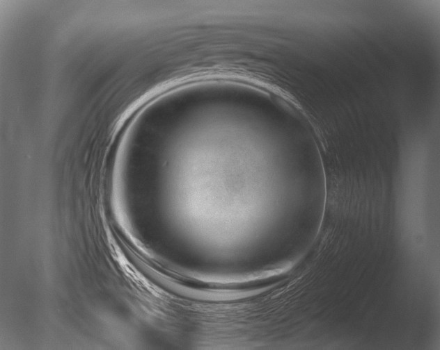 X0000086101534200703231421
