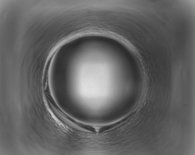 X0000086101536200703231421