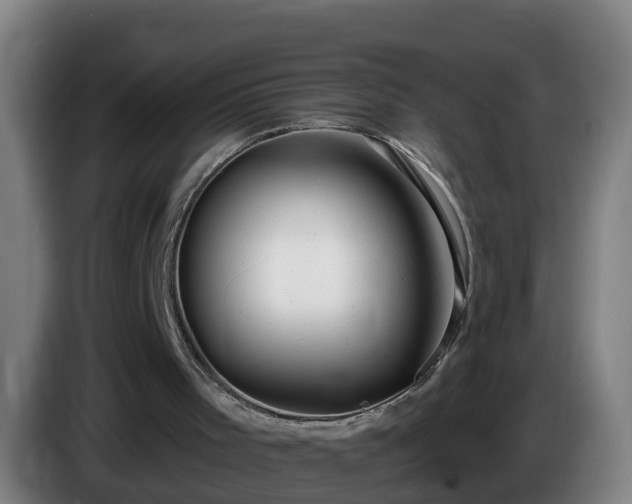 X0000086100001200703301225