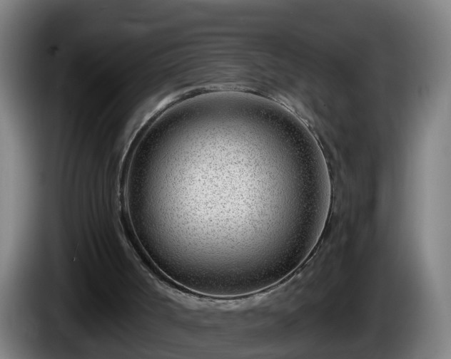 X0000086100002200703301225
