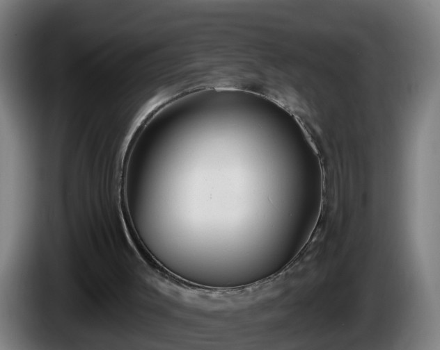 X0000086100003200703301225