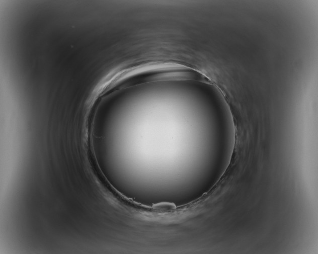 X0000086100005200703301225
