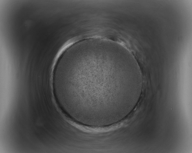 X0000086100006200703301225