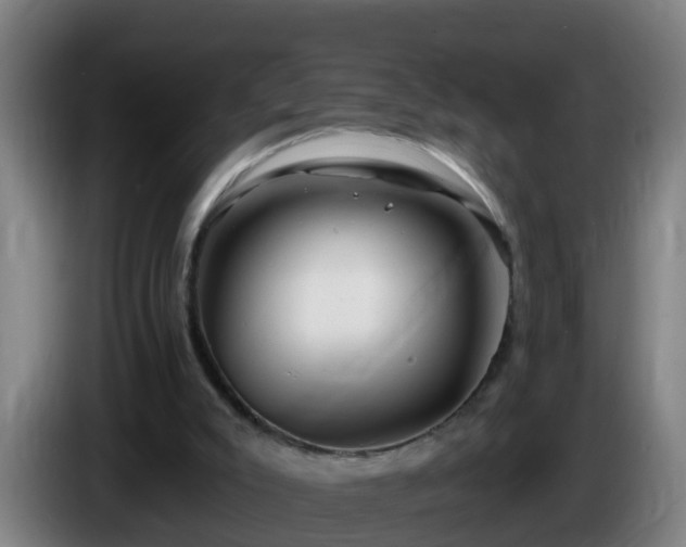 X0000086100007200703301225