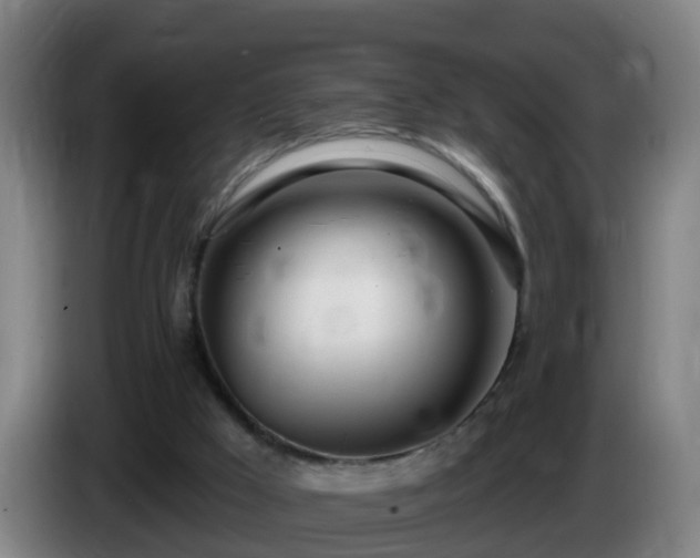 X0000086100009200703301225