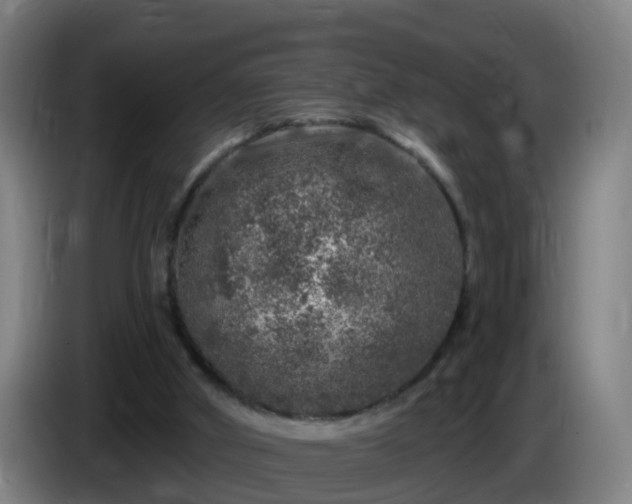 X0000086100010200703301225