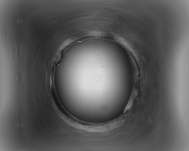 X0000086100011200703301225