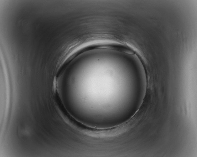X0000086100013200703301225