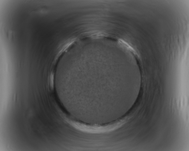 X0000086100014200703301225