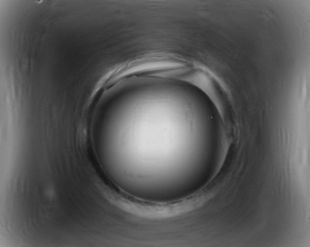 X0000086100015200703301225