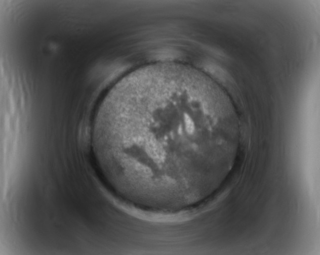 X0000086100016200703301225